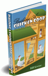 Building A Chicken Coop