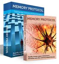 The Memory Protocol